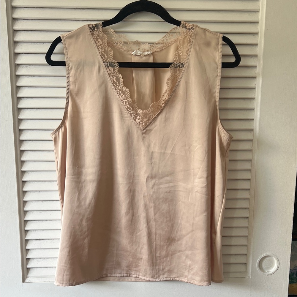 Elegant Lace Trimmed Beige sleeveless Top